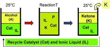 Graphical abstract: Spontaneous product segregation from reactions in ionic liquids: application in Pd-catalyzed aliphatic alcohol oxidation