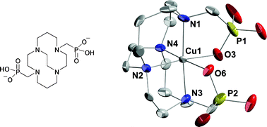 Graphical abstract: A new phosphonate pendant-armed cross-bridged tetraamine chelator accelerates copper(ii) binding for radiopharmaceutical applications