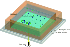 Graphical abstract: Infrared light induced patterning of proteins on ppNIPAM thermoresponsive thin films: a “protein laser printer”