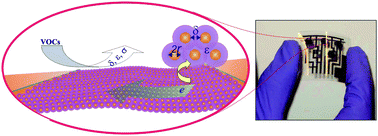Graphical abstract: Flexible chemiresistor sensors: thin film assemblies of nanoparticles on a polyethylene terephthalate substrate