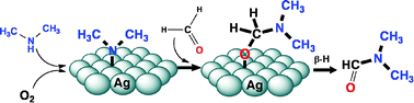 Graphical abstract: Direct selective oxygen-assisted acylation of amines driven by metallic silver surfaces: dimethylamine with formaldehyde