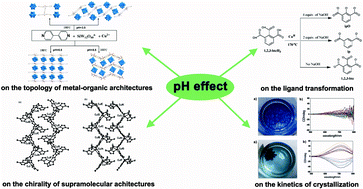 Graphical abstract: pH effect on the assembly of metal–organic architectures