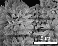 Graphical abstract: Facile synthesis and luminescent properties of flower-like LaPO4:Ln3+ (Ln = Ce, Tb) hierarchical architectures