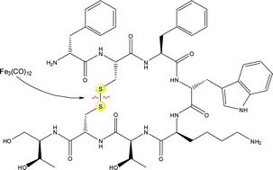 Graphical abstract: Reaction of Fe3(CO)12 with octreotide—chemical, electrochemical and biological investigations