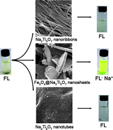 Graphical abstract: Ultrasensitive Na+ exchanging performance of free-standing Fe3O4@Na2Ti3O7 nanosheets indicated by fluorescein