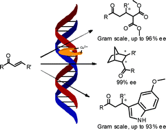 Graphical abstract: Organic co-solvents in aqueous DNA-based asymmetric catalysis