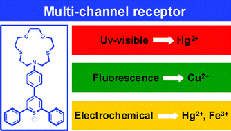 Graphical abstract: Multi-channel receptors based on thiopyrylium functionalised with macrocyclic receptors for the recognition of transition metal cations and anions