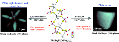 Graphical abstract: Synthesis and characterization of [Pb{Se2P(OiPr)2}2]n pseudo polymorphs: Polymeric, single source precursor enabling preparation of shape-controlled lead selenide structures