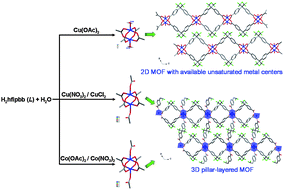 Graphical abstract: Counterion-induced controllable assembly of 2D and 3D metal–organic frameworks: effect of coordination modes of dinuclear Cu(ii) paddle-wheel motifs