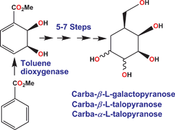 Graphical abstract: Chemoenzymatic synthesis of the carbasugars carba-β-l-galactopyranose, carba-β-l-talopyranose and carba-α-l-talopyranose from methyl benzoate