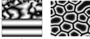 Graphical abstract: Liquid crystal models of biological materials and processes