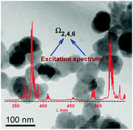 Graphical abstract: Determination of Judd–Ofelt intensity parameters from the excitation spectra for rare-earth doped luminescent materials