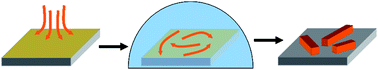 Graphical abstract: Solvent vapour annealing of organic thin films: controlling the self-assembly of functional systems across multiple length scales