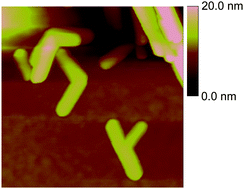 Graphical abstract: Porous α-Fe2O3 nanostructures with branched topology: growth, formation mechanism, and properties