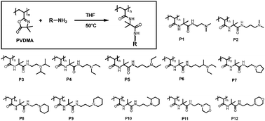 Graphical abstract: Azlactone-functionalized polymers as reactive templates for parallel polymer synthesis: synthesis and screening of a small library of cationic polymers in the context of DNA delivery