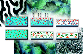 Graphical abstract: Solution-processed organic transistors based on semiconducting blends