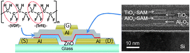 Graphical abstract: Channel/ferroelectric interface modification in ZnO non-volatile memory TFT with P(VDF-TrFE) polymer