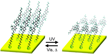 Graphical abstract: Light-driven molecular switches in azobenzene self-assembled monolayers: effect of molecular structure on reversible photoisomerization and stable cis state