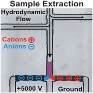 Graphical abstract: Simultaneous separation and detection of cations and anions on a microfluidic device with suppressed electroosmotic flow and a single injection point