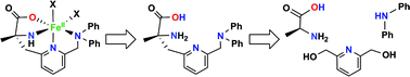 Graphical abstract: Design and synthesis of a tetradentate ‘3-amine-1-carboxylate’ ligand to mimic the metal binding environment at the non-heme iron(ii) oxidase active site