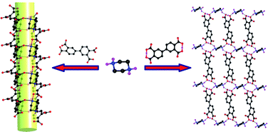 Graphical abstract: Supramolecular assembly of [H(4−n)BPTC]n− with pipzH22+: 1D negatively charged rectangular tubes and a 2D neutral fes 4·82 network