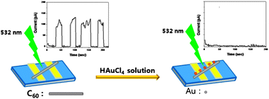 Graphical abstract: Wavelength-selective silencing of photocurrent in Au-coated C60 wire hybrid