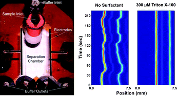 Graphical abstract: Using buffer additives to improve analyte stream stability in micro free flow electrophoresis