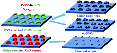 Graphical abstract: Fabrication of gold nanoparticles and silicon oxide corpuscles from block copolymers