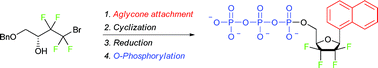 Graphical abstract: Synthesis and O-phosphorylation of 3,3,4,4-tetrafluoroaryl-C-nucleoside analogues