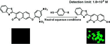 Graphical abstract: A highly sensitive fluorescent probe for detection of benzenethiols in environmental samples and living cells