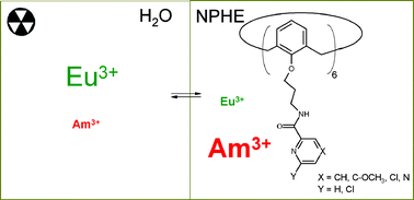 Graphical abstract: Calix[6]arene-picolinamide extractants for radioactive waste: effect of modification of the basicity of the pyridine N atom on the extraction efficiency and An/Ln separation