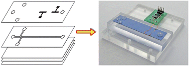 Graphical abstract: Ceramic capillary electrophoresis chip for the measurement of inorganic ions in water samples