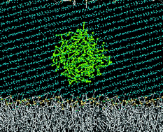 Graphical abstract: Reply to the ‘Comment on “On using a too large integration time step in molecular dynamics simulations of coarse-grained molecular models”’ by S. J. Marrink, X. Periole, D. Peter Tieleman and Alex H. de Vries, Phys. Chem. Chem. Phys., 2010, 12, DOI: 10.1039/b915293h