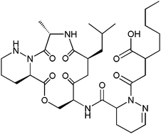 Graphical abstract: Towards the stereochemical assignment of natural lydiamycin A