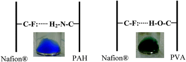 Graphical abstract: Self-assembly of Nafion®/poly(vinyl alcohol) at pH = 1.2 and Nafion®/poly(allyl amine) at pH = 11