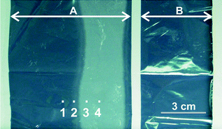 Graphical abstract: SIMS investigation on the effect of the interstitial moisture in metallized polymer films