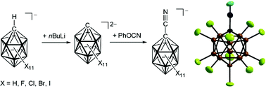 Graphical abstract: Salts of the 1-cyanocarba-closo-dodecaborate anions [1-NC-closo-1-CB11X11]− (X = H, F, Cl, Br, I)