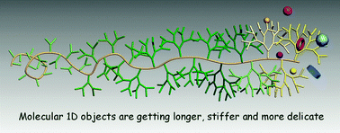 Graphical abstract: Tailoring dendronized polymers