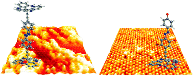 Graphical abstract: Self-assembly of triazatriangulenium-based functional adlayers on Au(111) surfaces