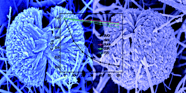 Graphical abstract: A novel BiVO4 hierarchical nanostructure: controllable synthesis, growth mechanism, and application in photocatalysis