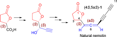 Graphical abstract: The enantioselective total synthesis of nemotin