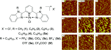 Graphical abstract: Photophysics in solution and Langmuir–Blodgett film and vapochromic behavior of the Pt(ii) 2,6-bis(N-alkylbenzimidazol-2′-yl)pyridine complexes with different alkyl chains and counter anions