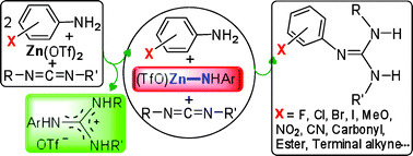 Graphical abstract: Zn(OTf)2-catalyzed addition of amines to carbodiimides: efficient synthesis of guanidines and unpredicted formation of Zn–N amido species