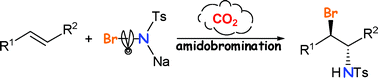 Graphical abstract: CO2-induced amidobromination of olefins with bromamine-T