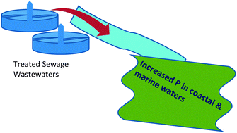 Graphical abstract: The impact of treated sewage wastewater discharges on the phosphorus levels and hydrology of two second order rivers flowing into the Thames