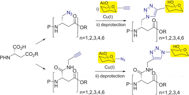 Graphical abstract: Click glycoconjugation of per-azido- and alkynyl-functionalized β-peptides built from aspartic acid