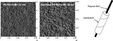 Graphical abstract: Design of hybrid networks by sheathing polymer fibrils with self-assembled nanotubules