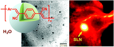 Graphical abstract: Conjugated polymer nanoparticles for biomedical in vivo imaging