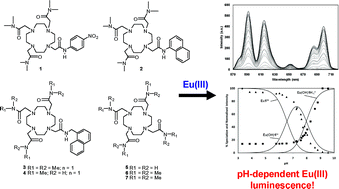 Graphical abstract: The effect on the lanthanide luminescence of structurally simple Eu(iii) cyclen complexes upon deprotonation of metal bound water molecules and amide based pendant arms