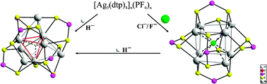 Graphical abstract: Anion-templated syntheses of octanuclear silver clusters from a silver dithiophosphate chain